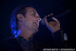 PETER MURPHY 06